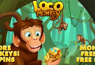 loco-the-monkey